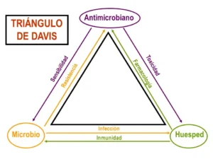 Triángulo de Davis