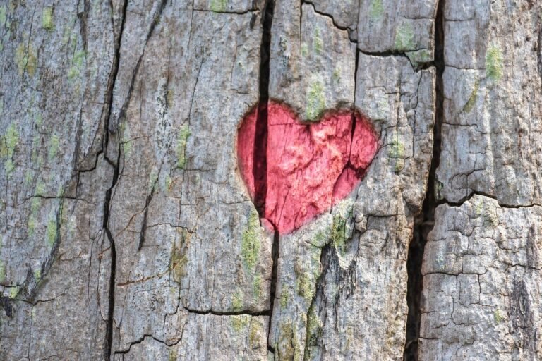 heart, tree, engraving