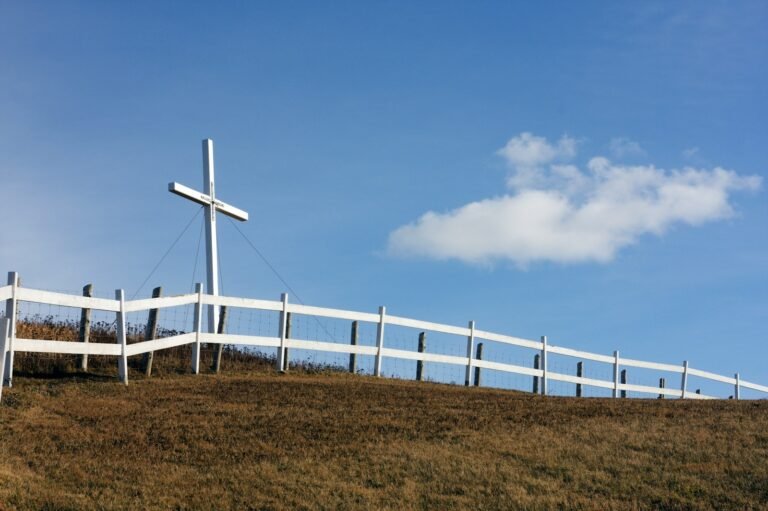 white wind turbines on brown grass field under blue and white sunny cloudy sky during daytime