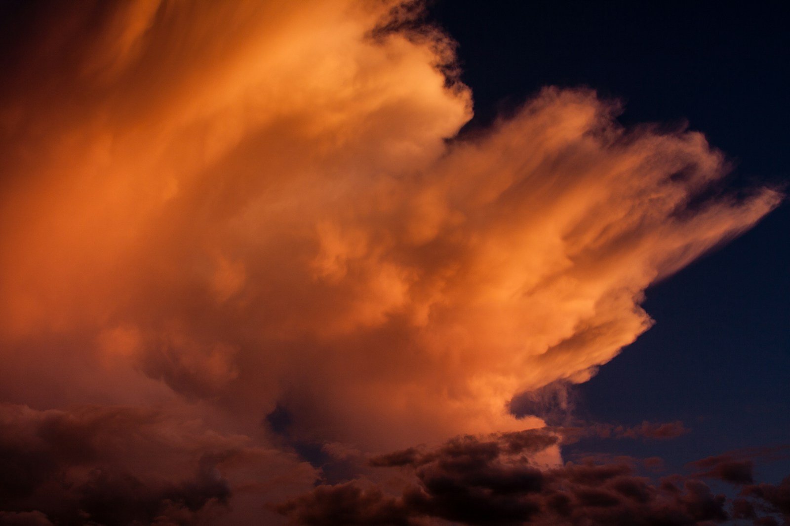 Wind blown cloud tops in the setting sun.